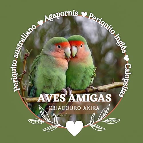 Aves amigas